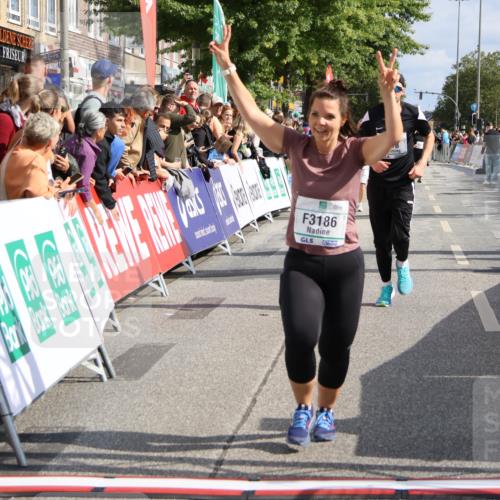 15.09.2024 - PSD Bank Halbmarathon Strokosch-Dieckow http://msf.ph/oto/7092488 15.09.2024 12:15:49 Ziel 2097, 2234, 2318, 3186, 3353, 3548 meine-sportfotos.de