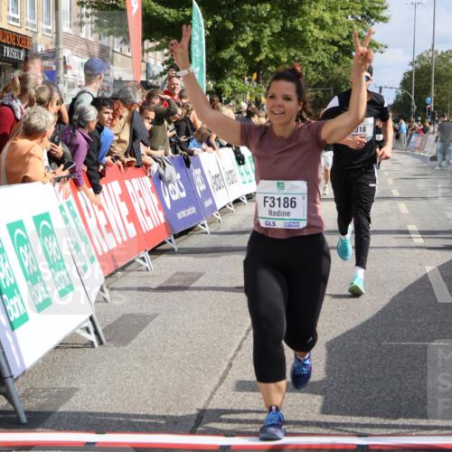 15.09.2024 - PSD Bank Halbmarathon Strokosch-Dieckow http://msf.ph/oto/7092508 15.09.2024 12:15:49 Ziel 2097, 2234, 2318, 3186, 3353, 3548 meine-sportfotos.de