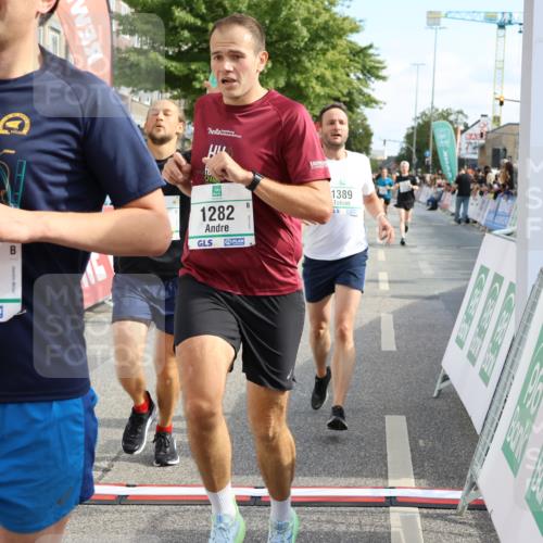 15.09.2024 - PSD Bank Halbmarathon Strokosch-Dieckow http://msf.ph/oto/7092697 15.09.2024 11:44:32 Ziel 962, 1166, 1180, 1227, 1256, 1275, 1282, 1317, 1334, 1389, 1628, 1909, 2496, 2556, 2667 meine-sportfotos.de