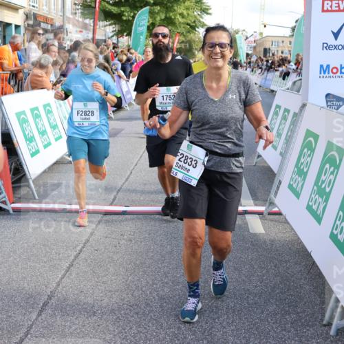 15.09.2024 - PSD Bank Halbmarathon Strokosch-Dieckow http://msf.ph/oto/7092720 15.09.2024 12:10:46 Ziel 1211, 1649, 1752, 1836, 1881, 2028, 2143, 2828, 2833, 2877, 2985, 3077, 3147, 3506, 3538 meine-sportfotos.de