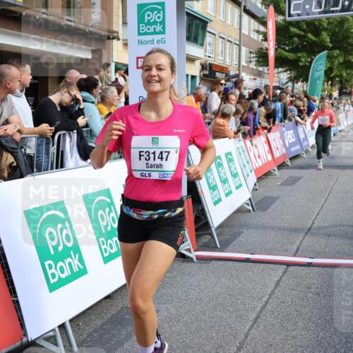 15.09.2024 - PSD Bank Halbmarathon Strokosch-Dieckow http://msf.ph/oto/7092762 15.09.2024 12:10:49 Ziel 1649, 1752, 1881, 2028, 2143, 2828, 2833, 2985, 3077, 3147, 3506, 3538 meine-sportfotos.de