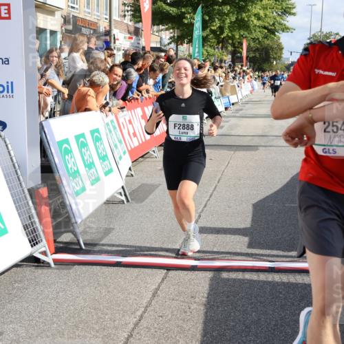 15.09.2024 - PSD Bank Halbmarathon Strokosch-Dieckow http://msf.ph/oto/7092999 15.09.2024 12:11:35 Ziel 1242, 2519, 2540, 2888, 2941, 3530 meine-sportfotos.de