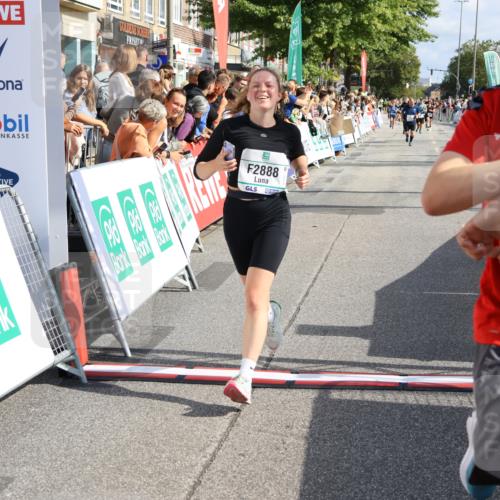 15.09.2024 - PSD Bank Halbmarathon Strokosch-Dieckow http://msf.ph/oto/7093005 15.09.2024 12:11:35 Ziel 1242, 2519, 2540, 2888, 2941, 3530 meine-sportfotos.de