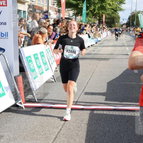 15.09.2024 - PSD Bank Halbmarathon Strokosch-Dieckow http://msf.ph/oto/7093010 15.09.2024 12:11:35 Ziel 1242, 2519, 2540, 2888, 2941, 3530 meine-sportfotos.de