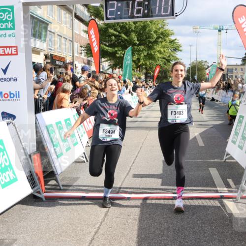 15.09.2024 - PSD Bank Halbmarathon Strokosch-Dieckow http://msf.ph/oto/7093293 15.09.2024 12:17:01 Ziel 2342, 2396, 2526, 2911, 3097, 3102, 3140, 3233, 3474, 3493, 3494 meine-sportfotos.de