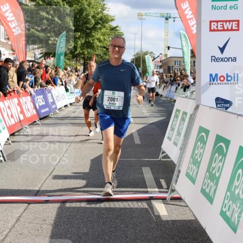 15.09.2024 - PSD Bank Halbmarathon Strokosch-Dieckow http://msf.ph/oto/7093347 15.09.2024 12:12:15 Ziel 1856, 2001, 2013, 2065, 2120, 2809, 2810, 3531 meine-sportfotos.de