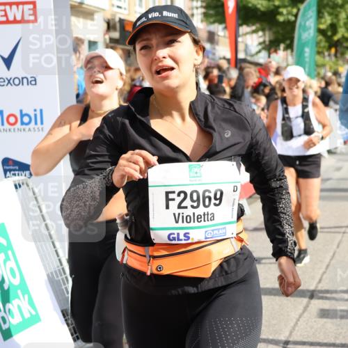 15.09.2024 - PSD Bank Halbmarathon Strokosch-Dieckow http://msf.ph/oto/7093427 15.09.2024 12:17:16 Ziel 1157, 2117, 2270, 2277, 2526, 2686, 2969, 3102, 3109, 3118, 3140, 3193, 3250, 3403, 3558 meine-sportfotos.de