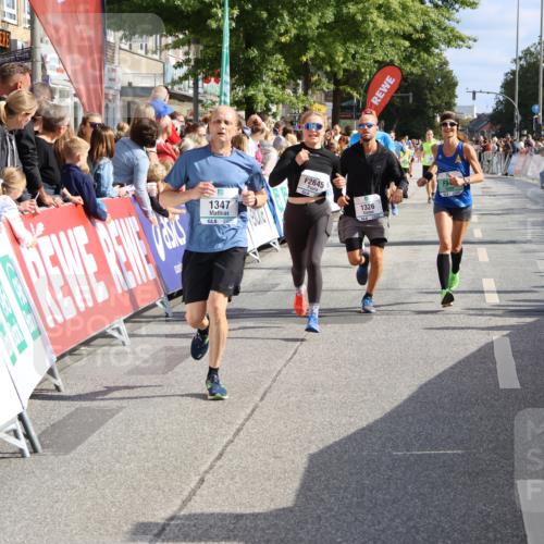 15.09.2024 - PSD Bank Halbmarathon Strokosch-Dieckow http://msf.ph/oto/7093487 15.09.2024 11:46:11 Ziel 446, 948, 1209, 1326, 1347, 1351, 1975, 2483, 2539, 2645, 2705, 2988 meine-sportfotos.de