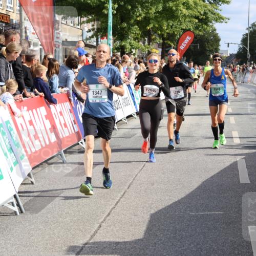 15.09.2024 - PSD Bank Halbmarathon Strokosch-Dieckow http://msf.ph/oto/7093500 15.09.2024 11:46:11 Ziel 446, 948, 1209, 1326, 1347, 1351, 1975, 2483, 2539, 2645, 2705, 2988 meine-sportfotos.de