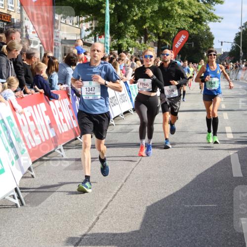 15.09.2024 - PSD Bank Halbmarathon Strokosch-Dieckow http://msf.ph/oto/7093503 15.09.2024 11:46:11 Ziel 446, 948, 1209, 1326, 1347, 1351, 1975, 2483, 2539, 2645, 2705, 2988 meine-sportfotos.de