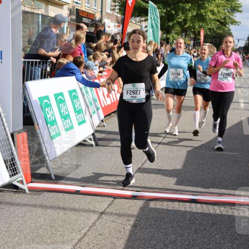 15.09.2024 - PSD Bank Halbmarathon Strokosch-Dieckow http://msf.ph/oto/7093671 15.09.2024 12:02:14 Ziel 1427, 1529, 1663, 2012, 2736, 2740, 2792, 2882, 2909, 2927, 2990, 2992, 3484 meine-sportfotos.de