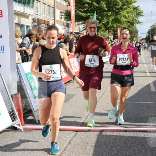 15.09.2024 - PSD Bank Halbmarathon Strokosch-Dieckow http://msf.ph/oto/7093709 15.09.2024 12:13:21 Ziel 1815, 1903, 1982, 2300, 2393, 2732, 2856, 3254 meine-sportfotos.de