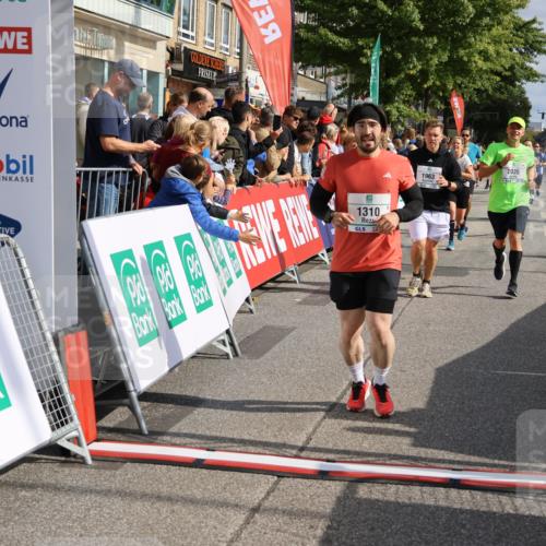 15.09.2024 - PSD Bank Halbmarathon Strokosch-Dieckow http://msf.ph/oto/7093767 15.09.2024 12:02:32 Ziel 1286, 1310, 1779, 1826, 1906, 1963, 2026, 2069, 2159, 2180, 2200, 2754, 3172, 3212 meine-sportfotos.de