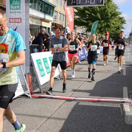 15.09.2024 - PSD Bank Halbmarathon Strokosch-Dieckow http://msf.ph/oto/7094036 15.09.2024 11:47:52 Ziel 1100, 1297, 1300, 1485, 1490, 1594, 1624, 1637, 1785, 2041, 2104, 2243, 2654 meine-sportfotos.de