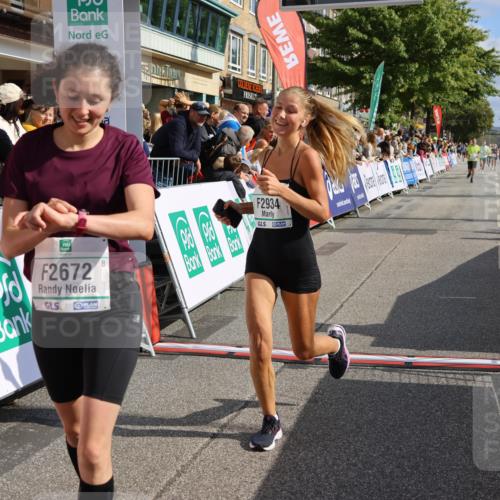 15.09.2024 - PSD Bank Halbmarathon Strokosch-Dieckow http://msf.ph/oto/7094108 15.09.2024 11:48:04 Ziel 1278, 1485, 1594, 1637, 1785, 2041, 2654, 2672, 2934 meine-sportfotos.de
