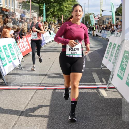 15.09.2024 - PSD Bank Halbmarathon Strokosch-Dieckow http://msf.ph/oto/7094179 15.09.2024 12:14:31 Ziel 1996, 2262, 2728, 2758, 3058, 3062, 3120, 3228, 3244, 3429, 3557 meine-sportfotos.de