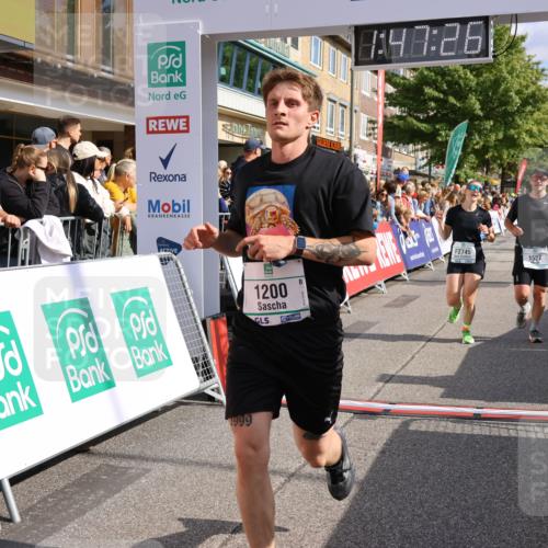 15.09.2024 - PSD Bank Halbmarathon Strokosch-Dieckow http://msf.ph/oto/7094185 15.09.2024 11:48:17 Ziel 1200, 1305, 1527, 1562, 1688, 2051, 2509, 2555, 2745 meine-sportfotos.de