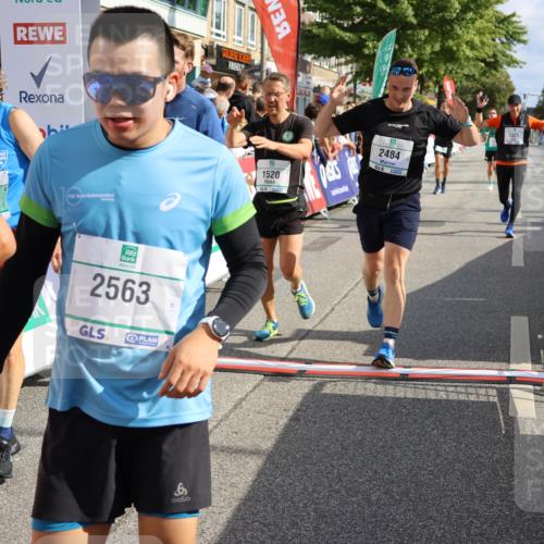 15.09.2024 - PSD Bank Halbmarathon Strokosch-Dieckow http://msf.ph/oto/7094265 15.09.2024 11:48:33 Ziel 833, 1264, 1321, 1356, 1419, 1513, 1520, 1532, 1562, 1744, 2484, 2555, 2563, 2944, 3556 meine-sportfotos.de