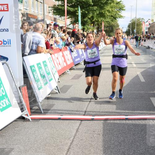 15.09.2024 - PSD Bank Halbmarathon Strokosch-Dieckow http://msf.ph/oto/7094359 15.09.2024 12:19:23 Ziel 1728, 1729, 2149, 2412, 2821, 3106, 3258, 3419, 3446, 3447, 3500, 3561 meine-sportfotos.de