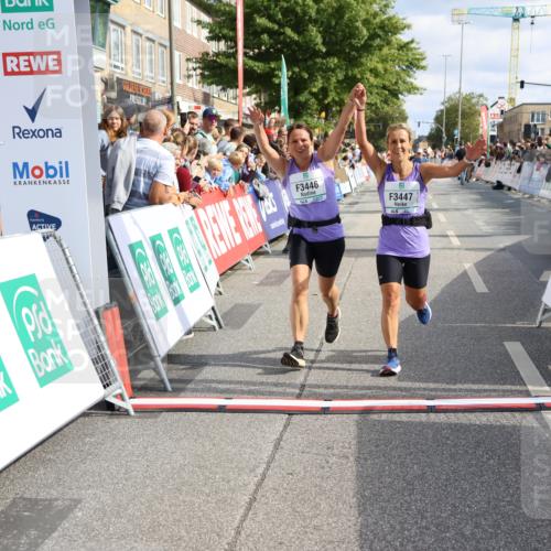 15.09.2024 - PSD Bank Halbmarathon Strokosch-Dieckow http://msf.ph/oto/7094367 15.09.2024 12:19:23 Ziel 1728, 1729, 2149, 2412, 2821, 3106, 3258, 3419, 3446, 3447, 3500, 3561 meine-sportfotos.de