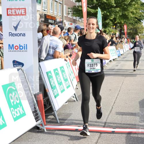 15.09.2024 - PSD Bank Halbmarathon Strokosch-Dieckow http://msf.ph/oto/7094435 15.09.2024 12:19:38 Ziel 1828, 3092, 3103, 3373 meine-sportfotos.de