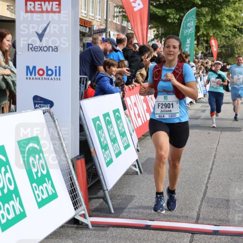 15.09.2024 - PSD Bank Halbmarathon Strokosch-Dieckow http://msf.ph/oto/7094565 15.09.2024 12:05:06 Ziel 2134, 2346, 2708, 2871, 2881, 2901, 3004, 3122, 3133 meine-sportfotos.de