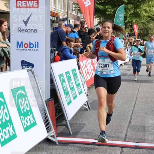 15.09.2024 - PSD Bank Halbmarathon Strokosch-Dieckow http://msf.ph/oto/7094566 15.09.2024 12:05:06 Ziel 2134, 2346, 2708, 2871, 2881, 2901, 3004, 3122, 3133 meine-sportfotos.de