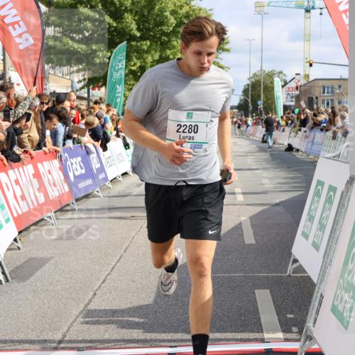 15.09.2024 - PSD Bank Halbmarathon Strokosch-Dieckow http://msf.ph/oto/7095104 15.09.2024 12:06:30 Ziel 1518, 1607, 1747, 1821, 1831, 2280, 2804, 2854, 2947, 3350 meine-sportfotos.de