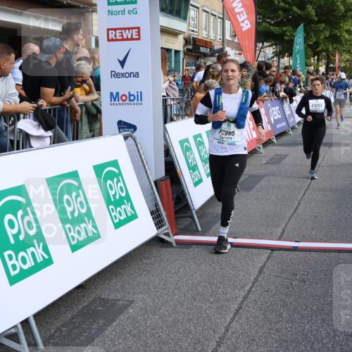 15.09.2024 - PSD Bank Halbmarathon Strokosch-Dieckow http://msf.ph/oto/7095464 15.09.2024 12:08:16 Ziel 1159, 1633, 1646, 2040, 2521, 2781, 2996, 3145, 3257 meine-sportfotos.de