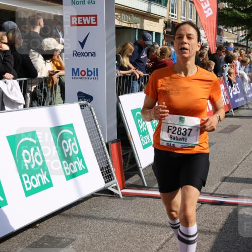 15.09.2024 - PSD Bank Halbmarathon Strokosch-Dieckow http://msf.ph/oto/7095534 15.09.2024 11:55:48 Ziel 1517, 2019, 2794, 2837 meine-sportfotos.de
