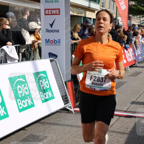 15.09.2024 - PSD Bank Halbmarathon Strokosch-Dieckow http://msf.ph/oto/7095538 15.09.2024 11:55:48 Ziel 1517, 2019, 2794, 2837 meine-sportfotos.de