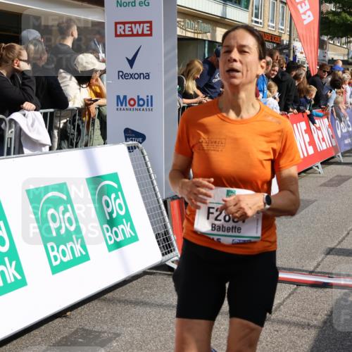 15.09.2024 - PSD Bank Halbmarathon Strokosch-Dieckow http://msf.ph/oto/7095540 15.09.2024 11:55:48 Ziel 1517, 2019, 2794, 2837 meine-sportfotos.de