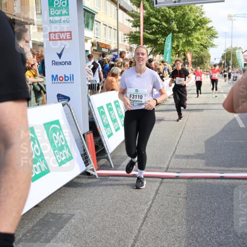 15.09.2024 - PSD Bank Halbmarathon Strokosch-Dieckow http://msf.ph/oto/7095541 15.09.2024 12:08:32 Ziel 1159, 1917, 2397, 2642, 2668, 3110, 3145, 3360, 3496 meine-sportfotos.de