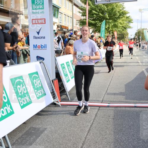 15.09.2024 - PSD Bank Halbmarathon Strokosch-Dieckow http://msf.ph/oto/7095543 15.09.2024 12:08:32 Ziel 1159, 1917, 2397, 2642, 2668, 3110, 3145, 3360, 3496 meine-sportfotos.de
