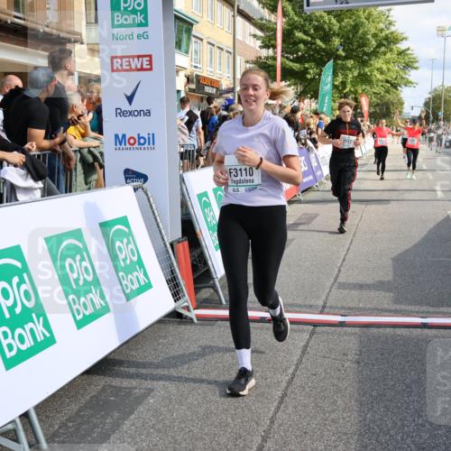 15.09.2024 - PSD Bank Halbmarathon Strokosch-Dieckow http://msf.ph/oto/7095550 15.09.2024 12:08:32 Ziel 1159, 1917, 2397, 2642, 2668, 3110, 3145, 3360, 3496 meine-sportfotos.de