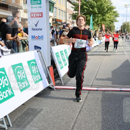 15.09.2024 - PSD Bank Halbmarathon Strokosch-Dieckow http://msf.ph/oto/7095562 15.09.2024 12:08:34 Ziel 1869, 1917, 2397, 2642, 2668, 3049, 3110, 3145, 3360, 3496 meine-sportfotos.de