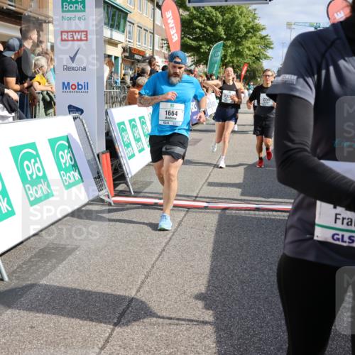 15.09.2024 - PSD Bank Halbmarathon Strokosch-Dieckow http://msf.ph/oto/7095725 15.09.2024 12:09:12 Ziel 1446, 1664, 1699, 1786, 1912, 1949, 2165, 2214, 2240, 2621, 2796, 2891, 2908, 3200 meine-sportfotos.de