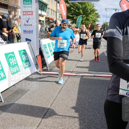 15.09.2024 - PSD Bank Halbmarathon Strokosch-Dieckow http://msf.ph/oto/7095727 15.09.2024 12:09:12 Ziel 1446, 1664, 1699, 1786, 1912, 1949, 2165, 2214, 2240, 2621, 2796, 2891, 2908, 3200 meine-sportfotos.de