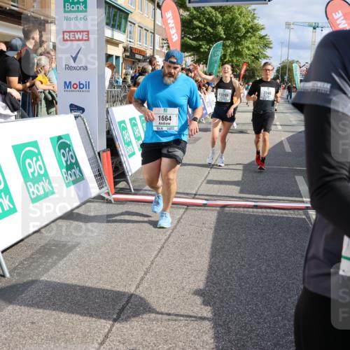 15.09.2024 - PSD Bank Halbmarathon Strokosch-Dieckow http://msf.ph/oto/7095729 15.09.2024 12:09:12 Ziel 1446, 1664, 1699, 1786, 1912, 1949, 2165, 2214, 2240, 2621, 2796, 2891, 2908, 3200 meine-sportfotos.de