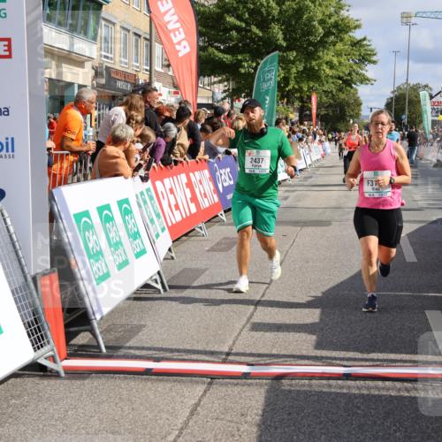 15.09.2024 - PSD Bank Halbmarathon Strokosch-Dieckow http://msf.ph/oto/7095808 15.09.2024 12:09:25 Ziel 1446, 1786, 2132, 2165, 2214, 2240, 2437, 2796, 3060, 3167, 3200, 3526 meine-sportfotos.de