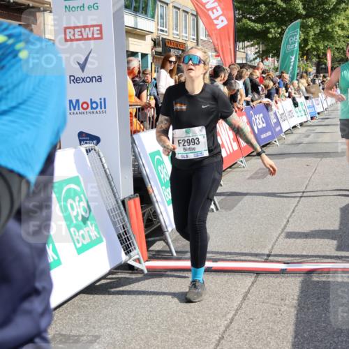 15.09.2024 - PSD Bank Halbmarathon Strokosch-Dieckow http://msf.ph/oto/7096036 15.09.2024 12:10:10 Ziel 1694, 1820, 1864, 2053, 2788, 2993, 3117, 3532 meine-sportfotos.de