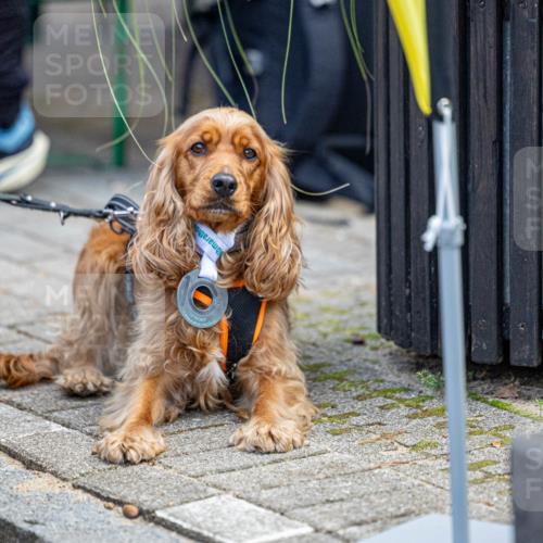 15.09.2024 - PSD Bank Halbmarathon Michael Strokosch http://msf.ph/oto/7096596 15.09.2024 12:24:27 Allgemein zum Event  meine-sportfotos.de