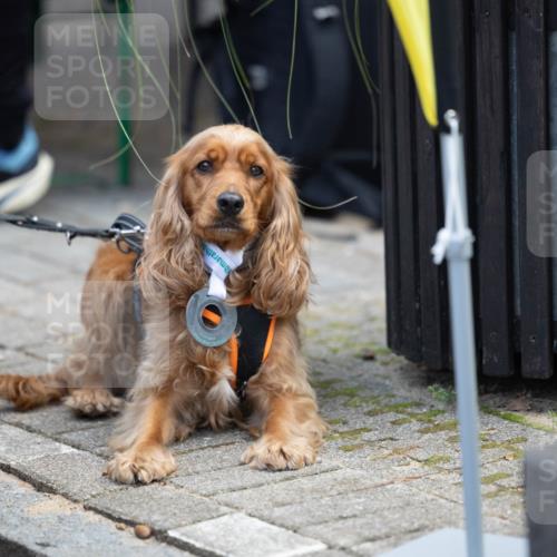 15.09.2024 - PSD Bank Halbmarathon Michael Strokosch http://msf.ph/oto/7096601 15.09.2024 12:24:26 Allgemein zum Event  meine-sportfotos.de
