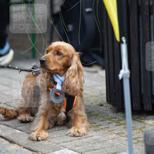 15.09.2024 - PSD Bank Halbmarathon Michael Strokosch http://msf.ph/oto/7096607 15.09.2024 12:24:25 Allgemein zum Event  meine-sportfotos.de