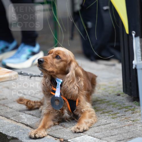 15.09.2024 - PSD Bank Halbmarathon Michael Strokosch http://msf.ph/oto/7096608 15.09.2024 12:24:04 Allgemein zum Event  meine-sportfotos.de