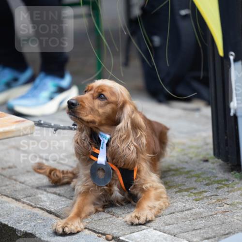 15.09.2024 - PSD Bank Halbmarathon Michael Strokosch http://msf.ph/oto/7096609 15.09.2024 12:24:04 Allgemein zum Event  meine-sportfotos.de
