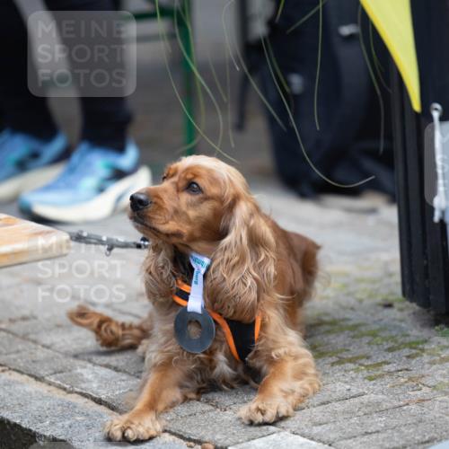15.09.2024 - PSD Bank Halbmarathon Michael Strokosch http://msf.ph/oto/7096610 15.09.2024 12:24:04 Allgemein zum Event 11, 11 meine-sportfotos.de