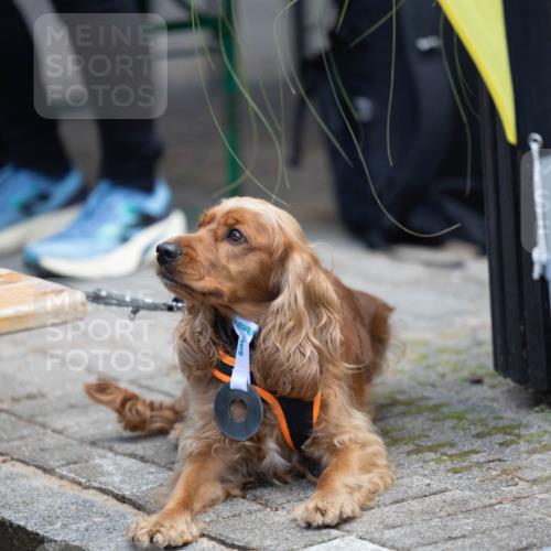 15.09.2024 - PSD Bank Halbmarathon Michael Strokosch http://msf.ph/oto/7096611 15.09.2024 12:24:03 Allgemein zum Event 11, 11 meine-sportfotos.de