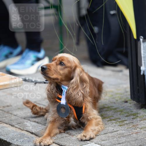 15.09.2024 - PSD Bank Halbmarathon Michael Strokosch http://msf.ph/oto/7096612 15.09.2024 12:24:03 Allgemein zum Event 11, 11 meine-sportfotos.de