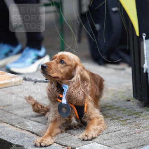 15.09.2024 - PSD Bank Halbmarathon Michael Strokosch http://msf.ph/oto/7096614 15.09.2024 12:24:03 Allgemein zum Event 11, 11 meine-sportfotos.de